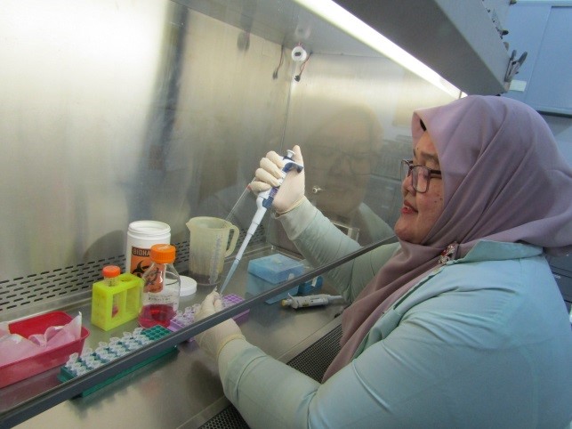 Tim Founder dalam Rapat Pengembangan Produk